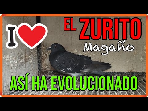 ZURITO Magaño | This is how it has evolved 😛😛😛