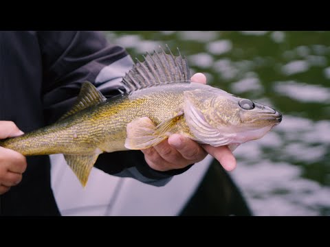 Pêche au doré à la Pourvoirie Domaine des Huards | Roadfish.tv - Saison 6 Épisode 3