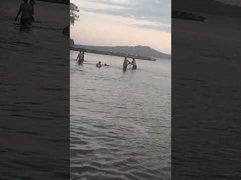 #goodvibes happen on the tides#beach 🏖️🏖️#tides #music #shortvideo