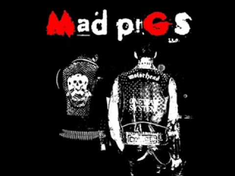 Mad pigs - Kecy