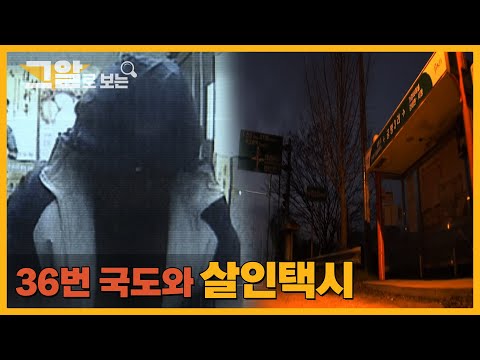 36번 국도 위, 그녀는 어디로 사라졌는가?