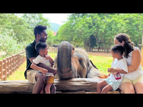 Guim & Nil Sri lankan Tour 2025