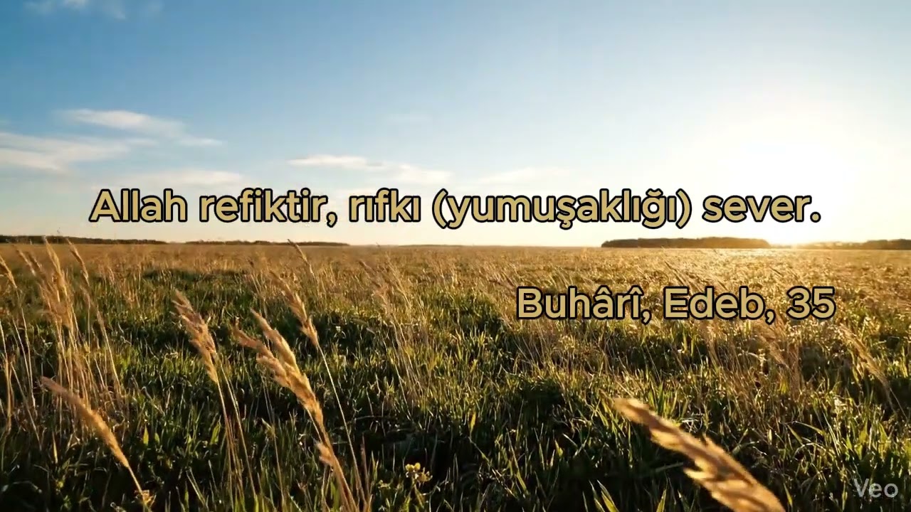 Allah Yumuşaklığı Sever | Anlamlı Hadis