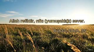 Allah Yumuşaklığı Sever | Anlamlı Hadis