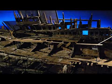 mary rose. looks very fragile