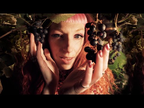 Josefinito - Fine Like Bordeaux - Official Video