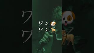ワンワン🐶 #エイハブ #邦ロック