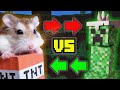 MAJOR HAMSTER vs KING CREEPER - Minecraft PYRAMID TEMPLE ADVENTURE