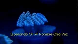 Swimming Home - Evanescence (español)