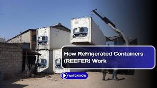 How Refrigerated Containers (REEFER) Work
