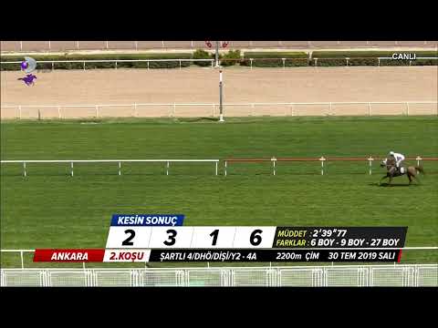 TAY TV Canlı Yayını