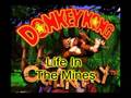 Donkey Kong Country Life In The Mines