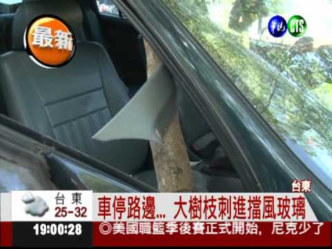 20公斤樹枝插進車 副駕駛嚇傻!