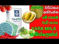 ශාකයේ වර්ධනය වගේම අස්වැන්න වැඩි කරන ය�