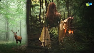 Enchanted Celtic Music | 432 Hz Nature Music | Magical Forest Sounds