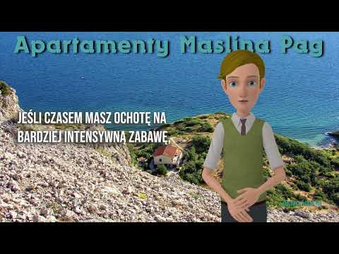 Apartamenty Maslina Pag  - O nas