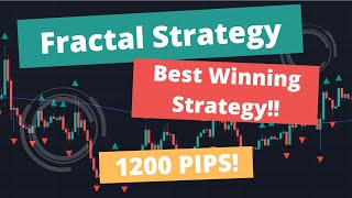 Best Fractal indicator Strategy settings for Forex! Use this strategy to get NEVER ENDING Profits!