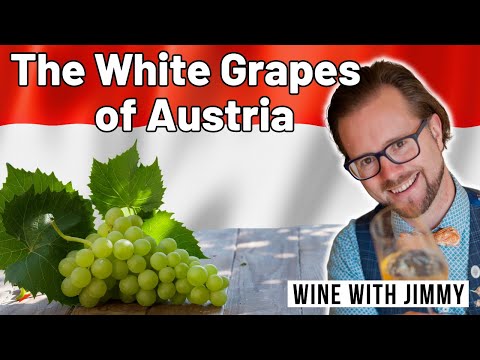 Mastering The Key White Grape Varieties of Austria For WSET Level 4