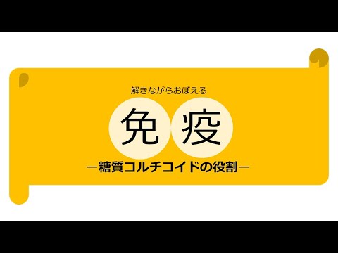 糖質コルチコイドについて詳しく解説
