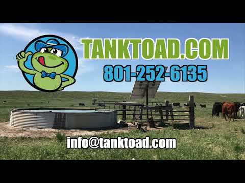 TankToad