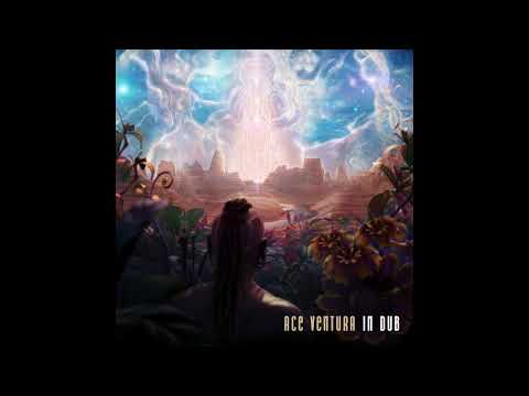 Ace Ventura In Dub | Full Album