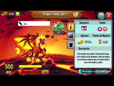 🎭🎊☝️🌼Dragon city Dragon fuego puro level 500 5 estrellas 🎭🎉