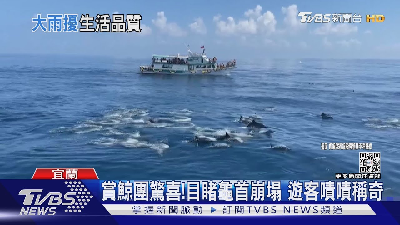 宜蘭龜首崩塌!疑地震、日曬雨淋自然風化現象 賞鯨團「驚」