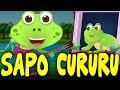 Sapo Cururú 30 Minutos De Música Infantil Canções Populares