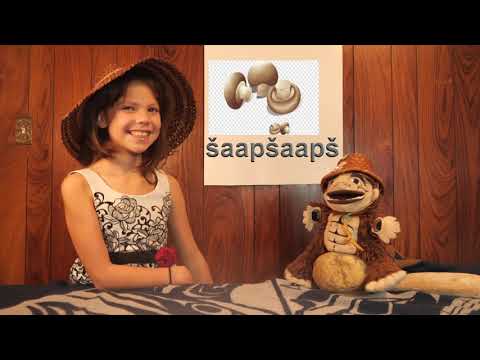 PAFC Hali the little linguist and ʔiiʔiiḥta