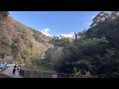 19112023Diário #japanlife #japanvlog #japan