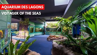 Exploring Noumea, New Caledonia! | Voyager of the Seas