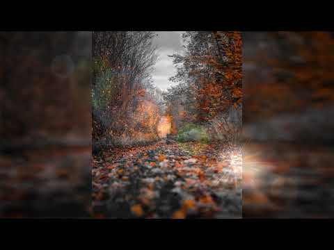 hlosiek - nie poznaję