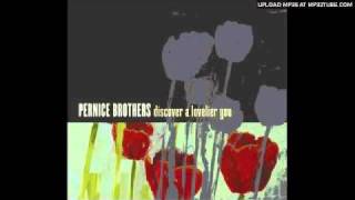 My So-Called Celibate Life - The Pernice Brothers