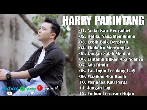 HARRY PARINTANG LAGU GALAU BIKIN BAPER  || Andai Kau Menyadari