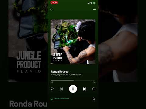 Flavio ft Negatiiv OG, Yun Mufasa Ronda Rousey