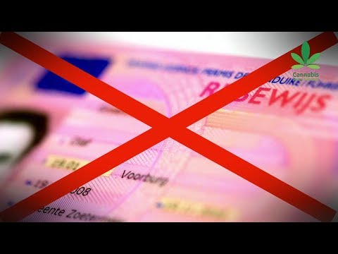 De Waanzin van de Speekseltest Deel 4 | Roadside Drug Testing Pt. 4 | The Human Toll