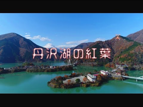 【山北町】丹沢湖の紅葉【４ｋ】