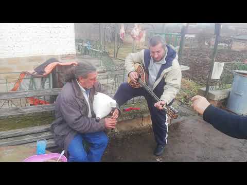 Попа и заека в извор на прасе