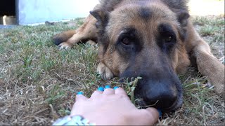 MEATLOAF IS BECOMING MORE COMFORTABLE WITH US