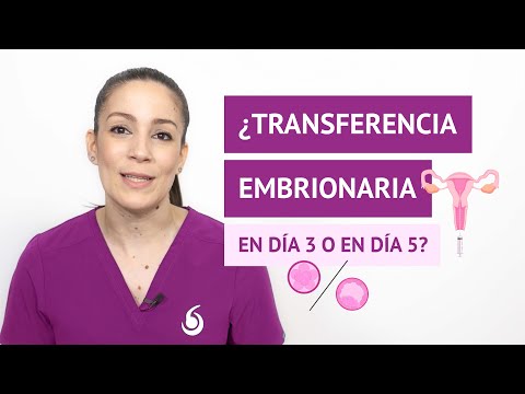 ¿Cuándo hacer la transferencia embrionaria? ¿En día 3 o en día 5?