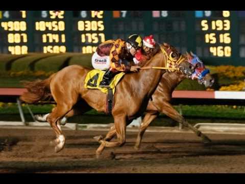 Los Alamitos Live Feed