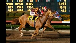 Los Alamitos Full Card Stream and Replays  - Sunday, August 23