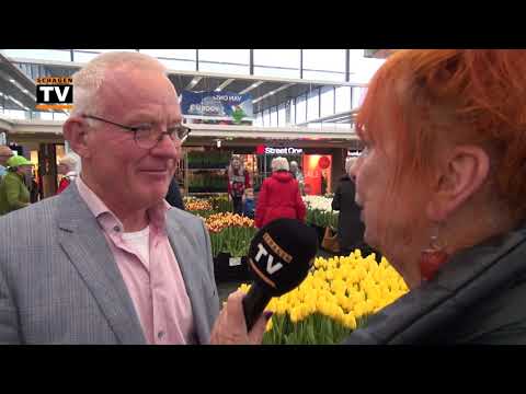 Tulpenpluktuin in het Makado Centrum in Schagen