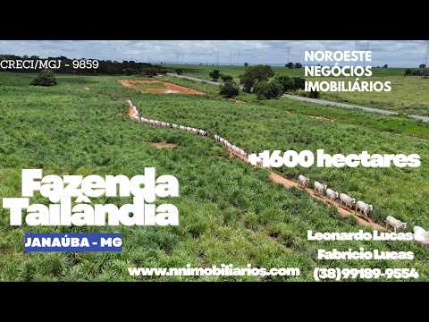 FAZENDA À VENDA | JANAÚBA/MG | FAZENDA TAILÂNDIA
