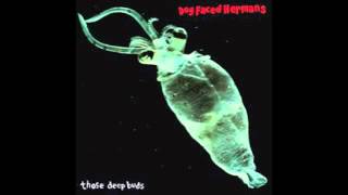 Dog Faced Hermans - Keep Your Laws Off My Body