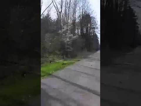 Obrazek poglądowy filmu YouTube