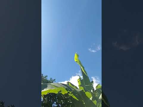 BOM DIA DE BENÇÃOS 💚 CÉLULA RENASCER MACAMBIRA SERGIPE 💚 VEM RENASCER 💚