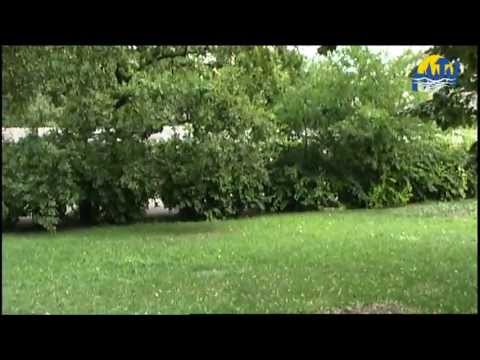 Városházi hírek (2013. augusztus 23.)