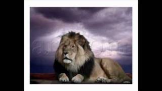 الاسد العربي المنقرض عند العرب lion Arabian Extinct