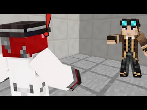 LYON REAGISCE AI PRIMI VIDEO CON I WGF!